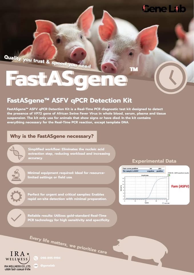 FastASgene™ ASFV qPCR Detection kit